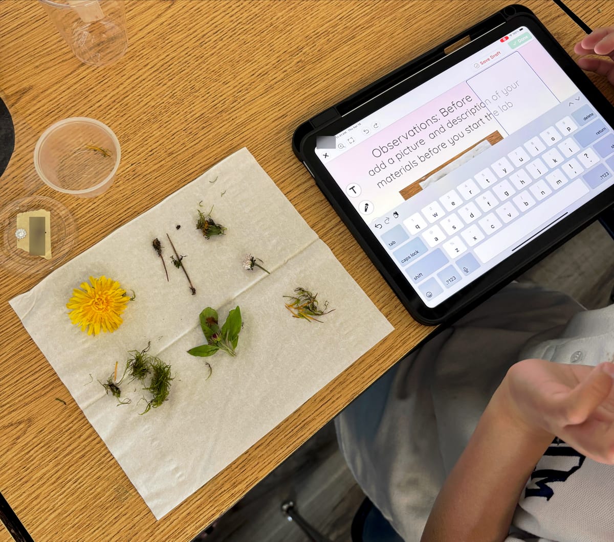 Classmate | Vol. 117 🌿 First Peoples Extraction Methods - Classroom Lab